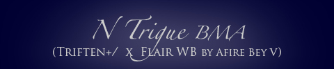 N Trigue BMA (Triften x Flair WB by Afire Bey V)