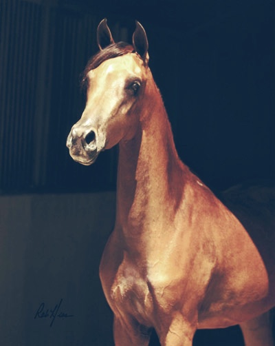 Brillience BMA (Allience x Flair WB by Afire Bey V)