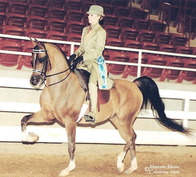 Prodigy Afire (Afire Bey V x Promises Kept by Barbary+++)