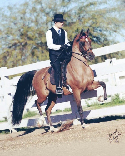 Winston ER (SF Specs Shocwave x Wind Serenade ER by Barbary+++)